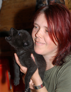 Kanadische Wölfe - Aufzucht